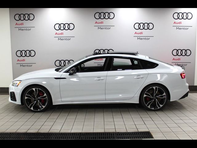 2024 Audi S5 Sportback Premium Plus