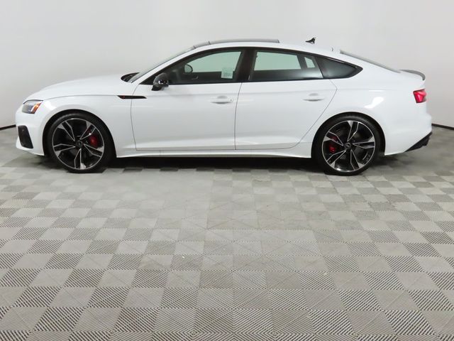 2024 Audi S5 Sportback Premium Plus