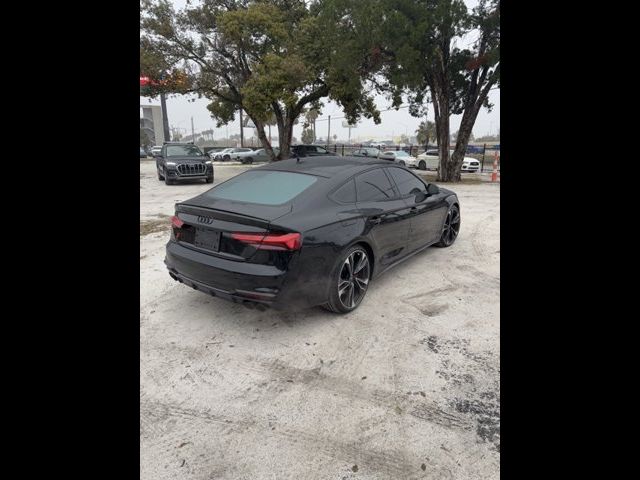 2024 Audi S5 Sportback Premium Plus