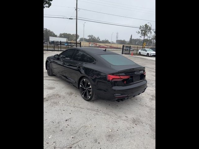 2024 Audi S5 Sportback Premium Plus