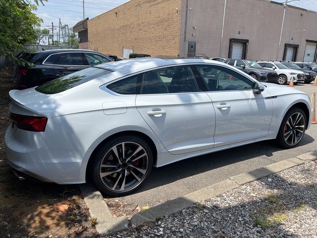 2024 Audi S5 Sportback Premium Plus