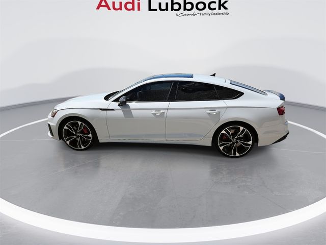 2024 Audi S5 Sportback Premium Plus