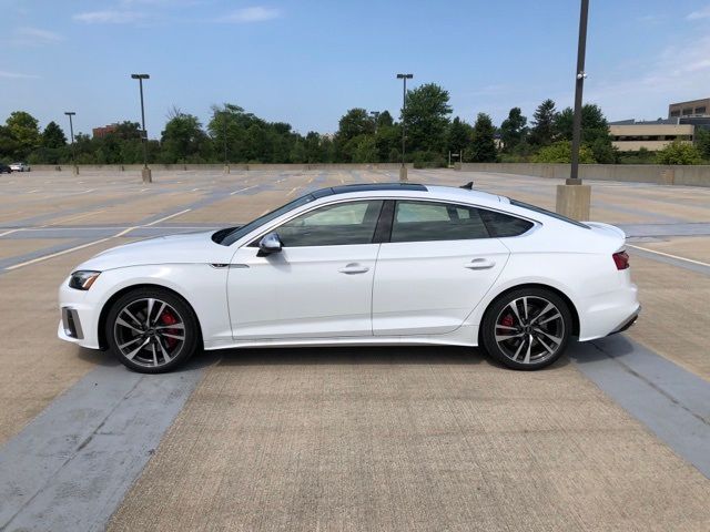 2024 Audi S5 Sportback Premium Plus