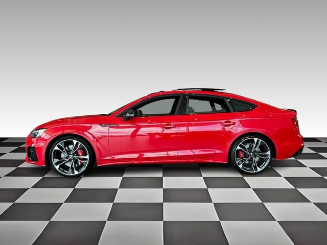 2024 Audi S5 Sportback Premium Plus