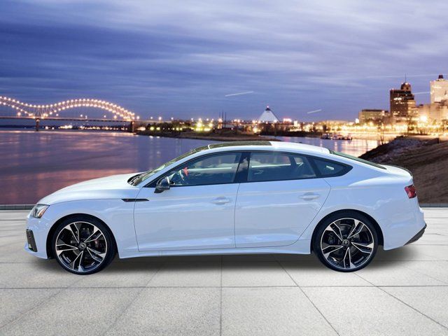 2024 Audi S5 Sportback Premium Plus