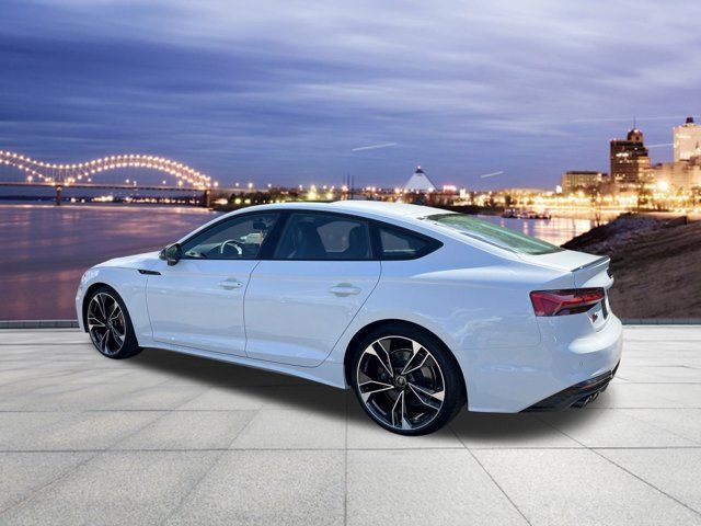 2024 Audi S5 Sportback Premium Plus