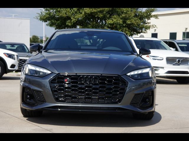 2024 Audi S5 Sportback Premium Plus