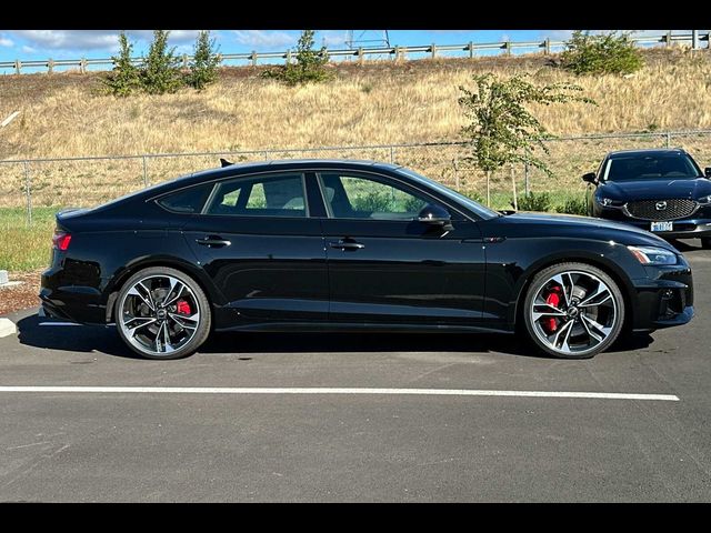 2024 Audi S5 Sportback Premium Plus