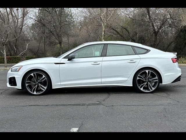 2024 Audi S5 Sportback Premium Plus