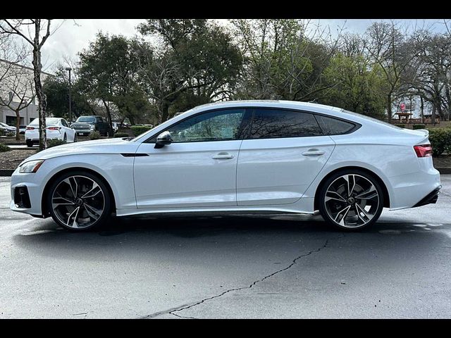 2024 Audi S5 Sportback Premium Plus