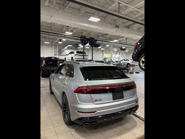 2024 Audi SQ8 Premium Plus