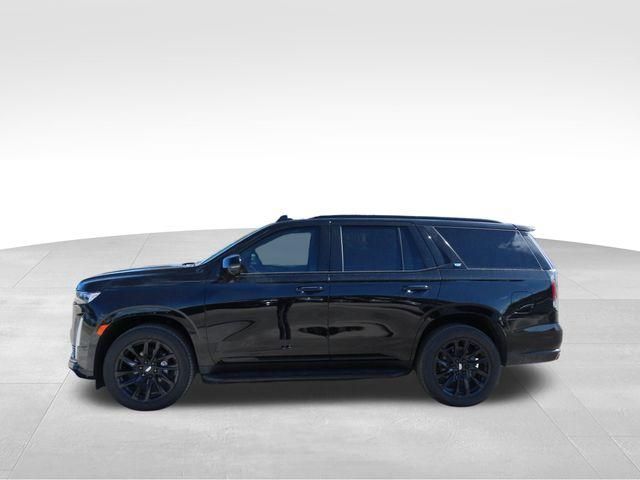 2024 Cadillac Escalade 4WD Sport Platinum