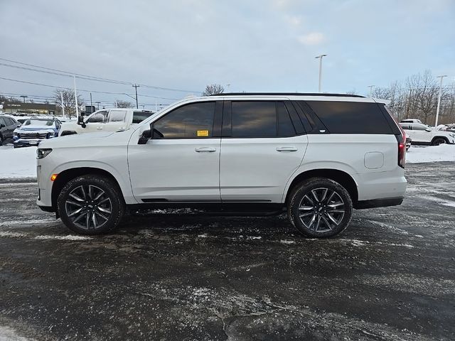 2024 Cadillac Escalade 4WD Sport