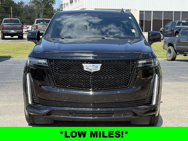 2024 Cadillac Escalade 4WD Sport Platinum