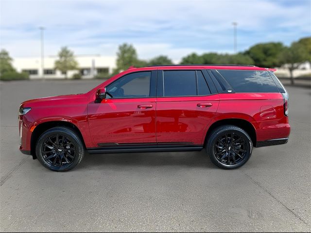 2024 Cadillac Escalade 4WD Sport Platinum