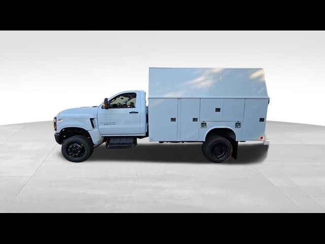 2024 Chevrolet Silverado MD Work Truck