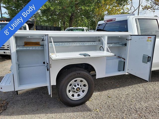 2024 Chevrolet Silverado 3500HD Work Truck