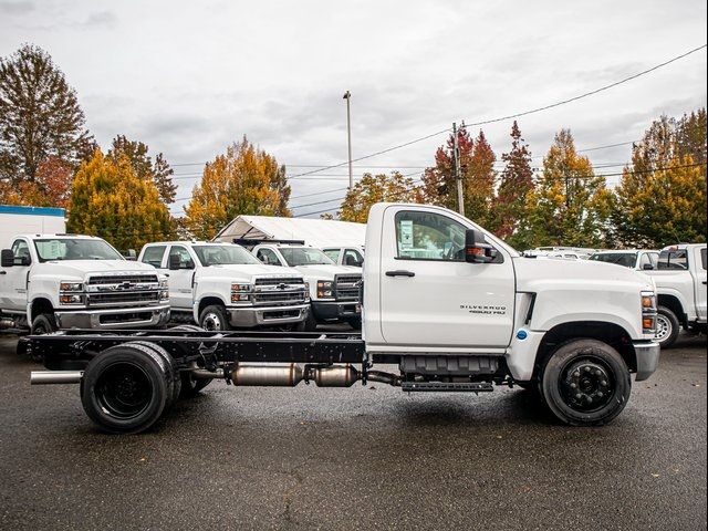 2024 Chevrolet Silverado MD Work Truck