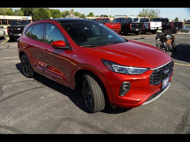 2024 Ford Escape ST-Line Elite