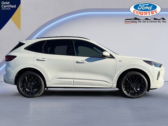 2024 Ford Escape ST-Line Elite