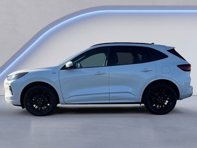 2024 Ford Escape ST-Line Elite