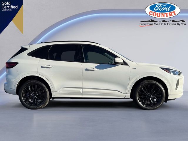 2024 Ford Escape ST-Line Elite