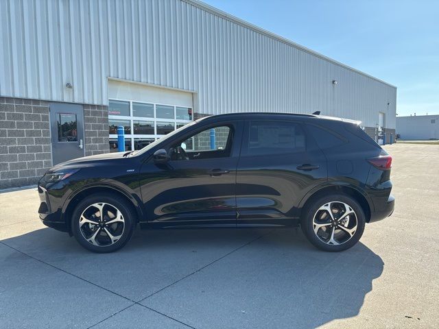 2024 Ford Escape ST-Line Elite