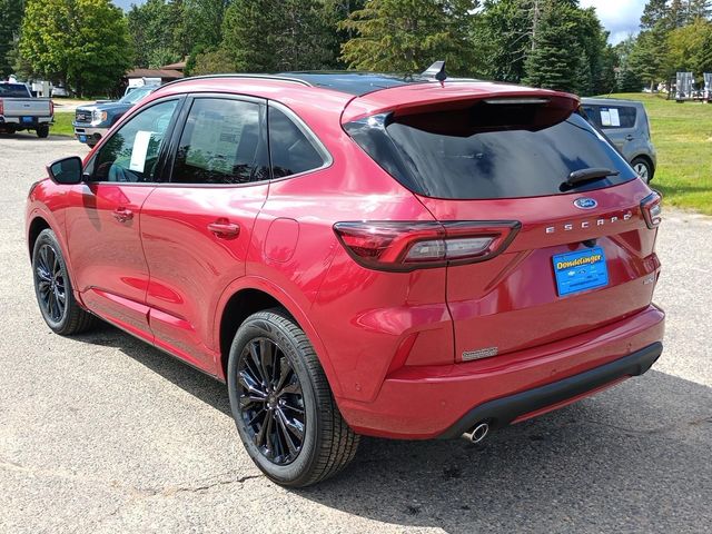 2024 Ford Escape ST-Line Elite