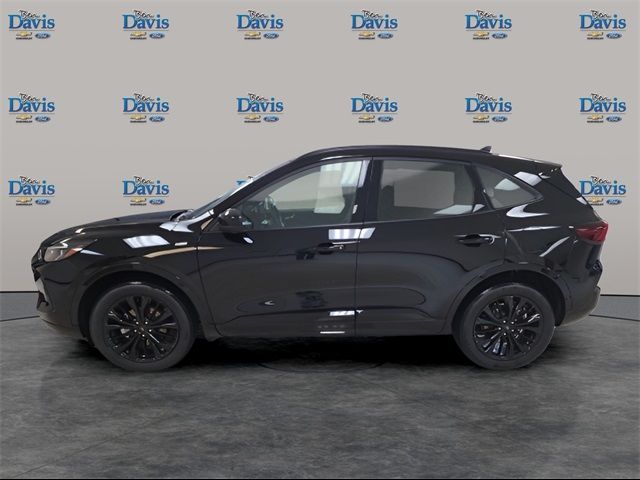 2024 Ford Escape ST-Line Elite