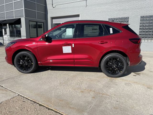 2024 Ford Escape ST-Line Elite