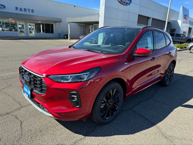 2024 Ford Escape ST-Line Elite