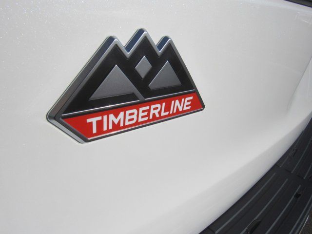 2024 Ford Expedition Timberline