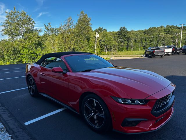 2024 Ford Mustang EcoBoost