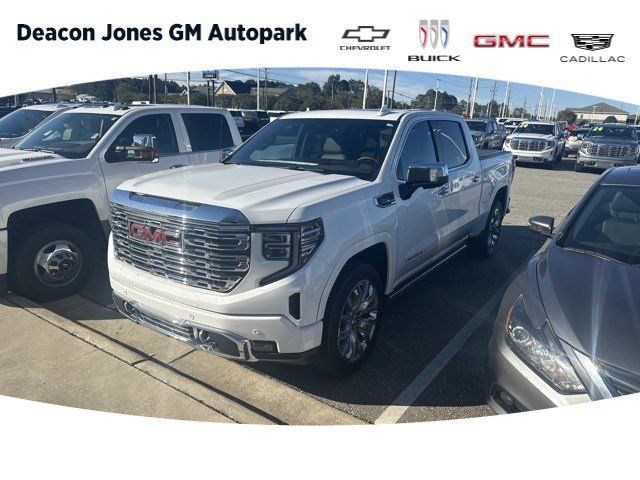 2024 GMC Sierra 1500 Denali