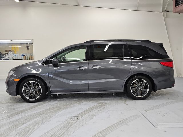 2024 Honda Odyssey Elite