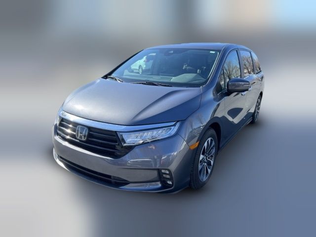 2024 Honda Odyssey EX-L