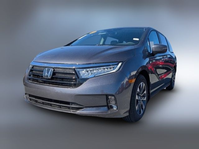 2024 Honda Odyssey EX-L