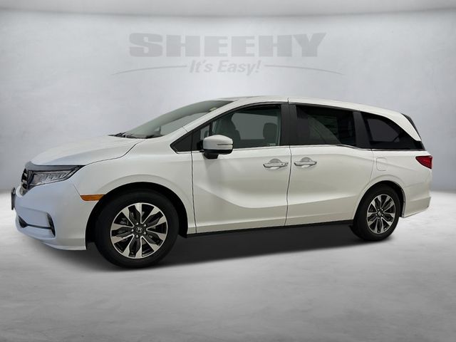 2024 Honda Odyssey EX-L