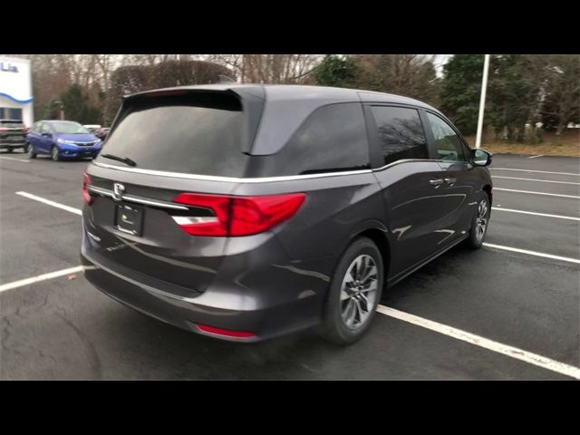 2024 Honda Odyssey EX-L