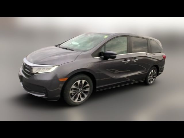 2024 Honda Odyssey EX-L