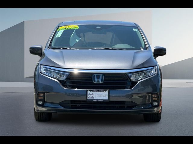 2024 Honda Odyssey EX-L