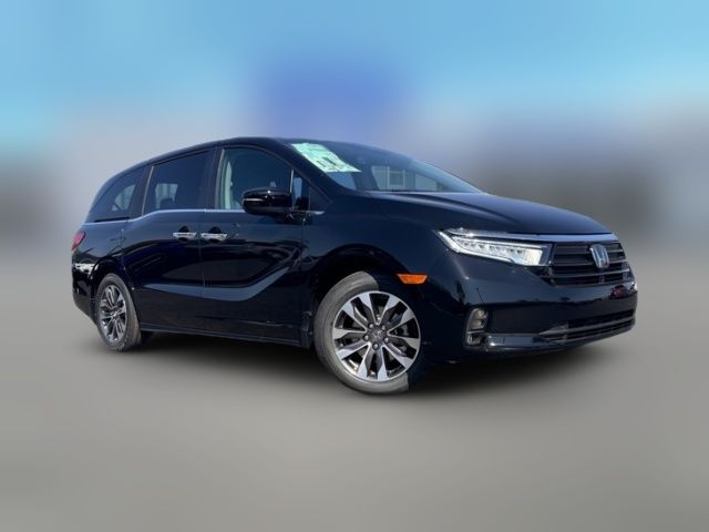 2024 Honda Odyssey EX-L