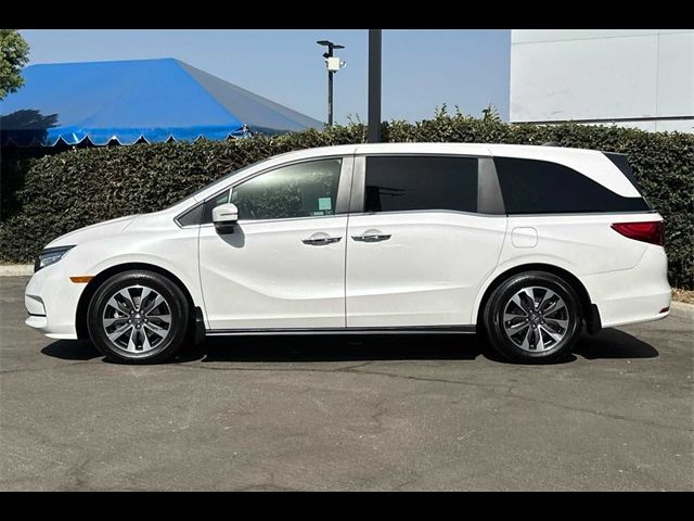 2024 Honda Odyssey EX-L