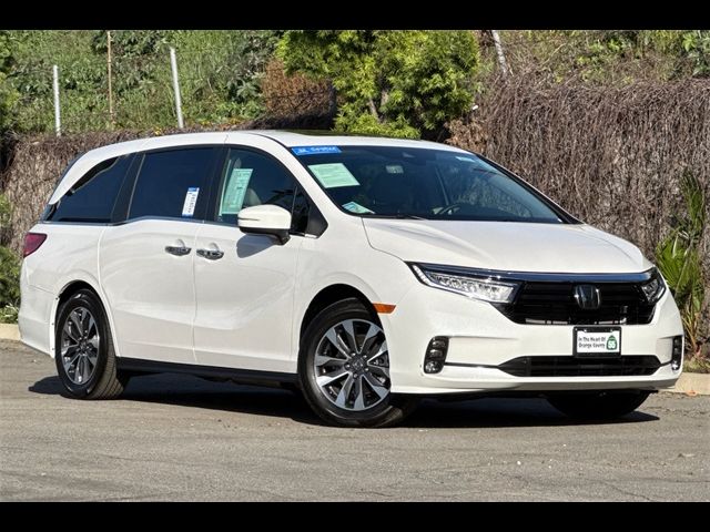 2024 Honda Odyssey EX-L
