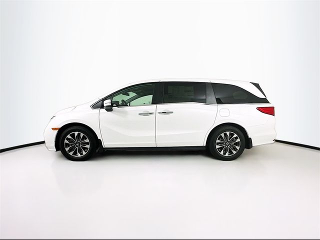 2024 Honda Odyssey EX-L