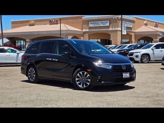 2024 Honda Odyssey EX-L