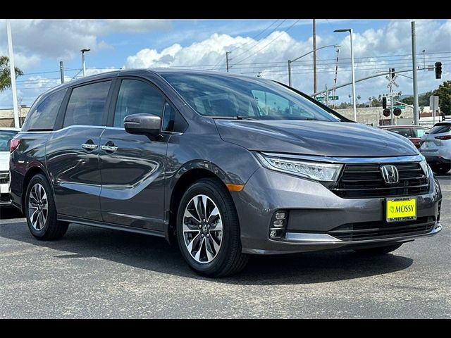 2024 Honda Odyssey EX-L