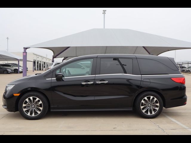 2024 Honda Odyssey EX-L