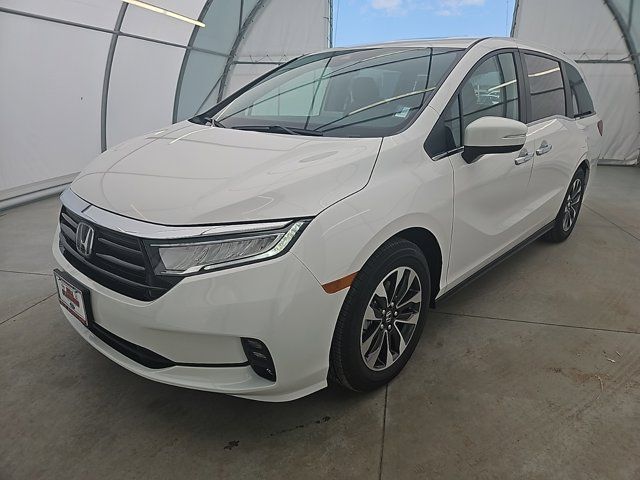 2024 Honda Odyssey EX-L