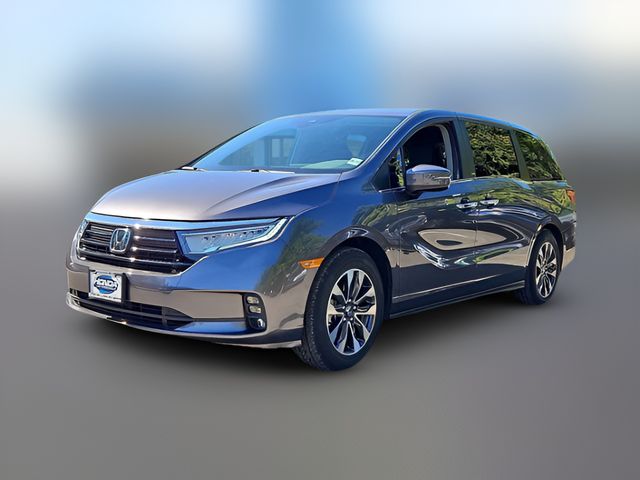 2024 Honda Odyssey EX-L